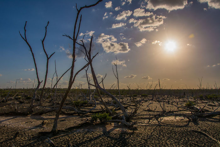 Foto: Leandro Pérez Pérez/Adelante Cuba acciona en el Caribe ante cambio climático