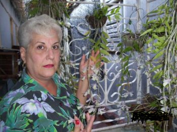 Entre orquídeas, una herencia paterna