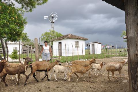El manejo de la masa es esencial en lograr el resultado final