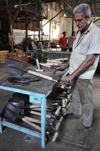 producción de alimentos_camagüey