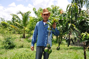 Más de 30 plantas de aguacates, 100 de guayabas y 60 de mangos crecen en solo 2,5 hectáreas.