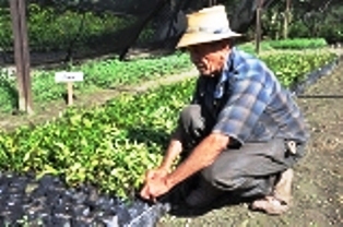 Me inclino ante quienes no cuentan años para trabajar.