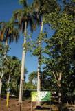 parque_botánico_camagüey