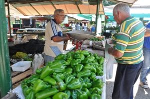  Medidas para ordenar la comercialización de productos agrícolas