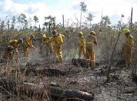 incendio-camagüey