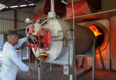 El sueño de los “locos” (+ Galería)