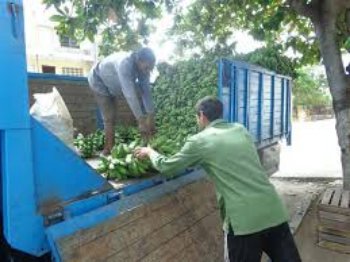 Evitar las negligencias en el acopio de producciones agrícolas