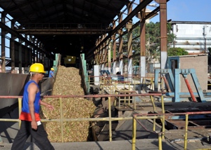 Cuba moderniza su industria azucarera