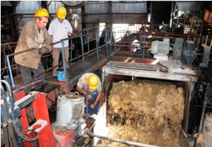 Avanzan las acciones de la zafra 2015-2016