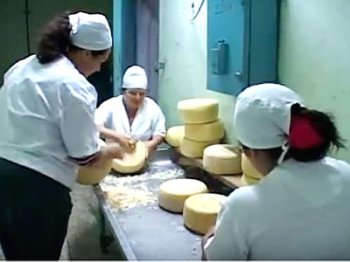Incrementa producción fábrica de productos lácteos