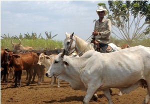  La mejor manera de ganar de dinero 