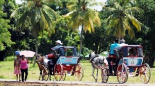 Alistan evento científico del Parque Botánico de Camagüey