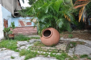florida_ahs