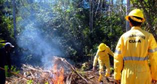 Inicia en Camaguey jornada contra incendios