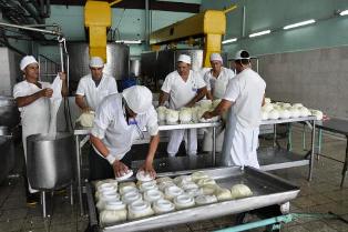 Rostros jóvenes animan la producción de quesos 