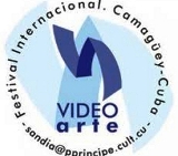 A la vista del Festival Internacional de Videoarte