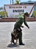 Guardafronteras: guardianes de las costas y la patria