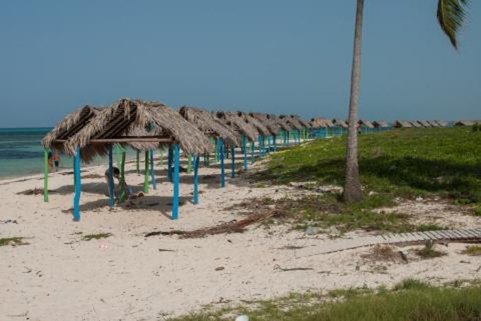 Summer season forecast 