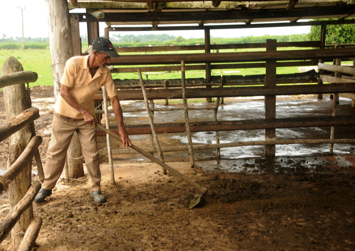 Para que sea más blanca Loma 