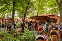 mercado-26-cmg-web