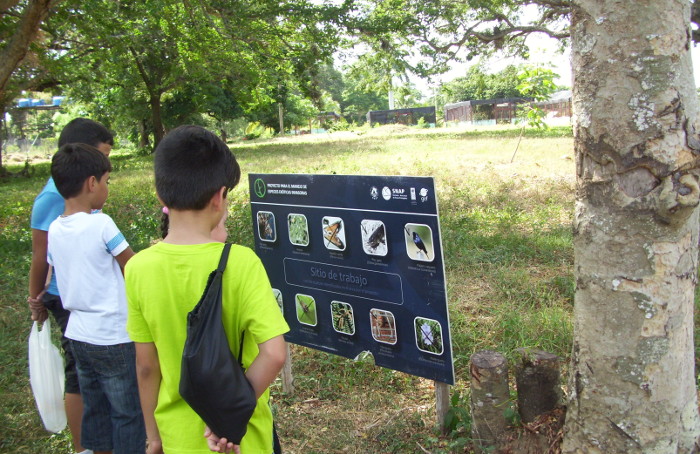 Los niños hacen un alto en el recorrido para conocer las características de las plantas invasoras.