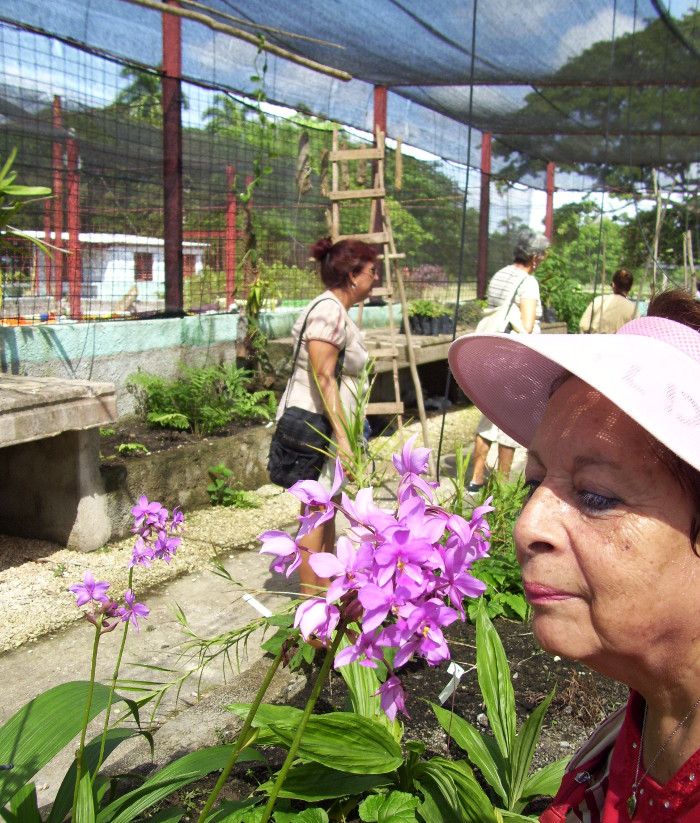 Las más hermosas flores puede encontrarla en el parque