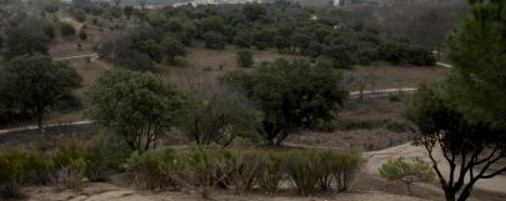 La Caridad del Cerro