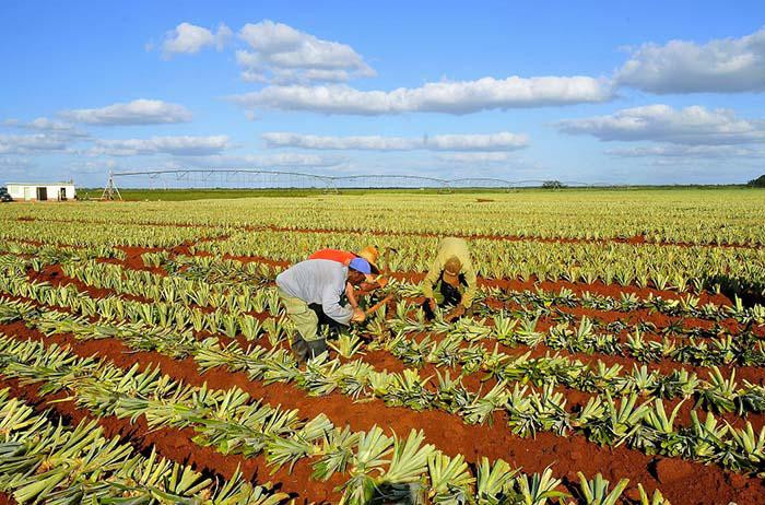The blessing of two sister enterprises
