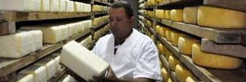 Meses de producciones altas en quesera  Taíno