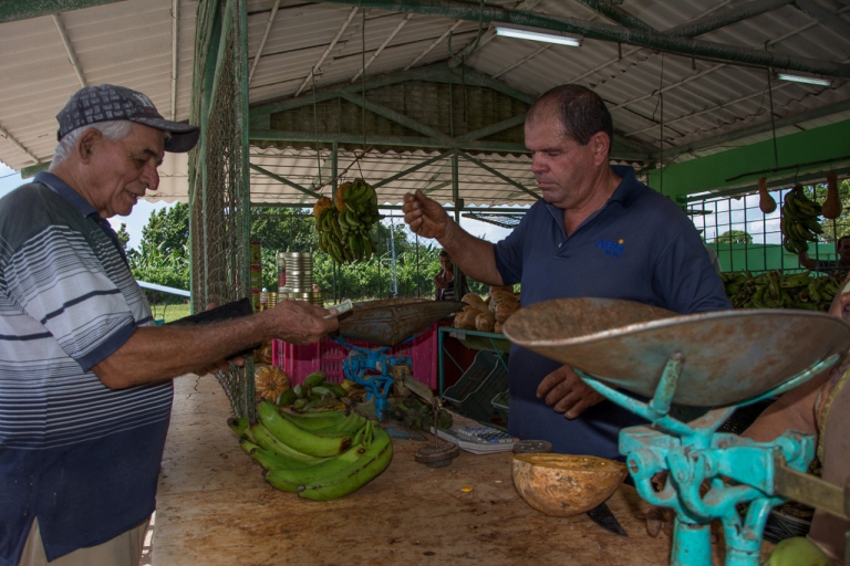 Crean condiciones en Florida para enfrentar huracán
