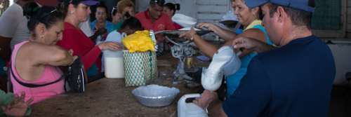 Redoblaron entregas de leche en Camagüey ante Matthew 