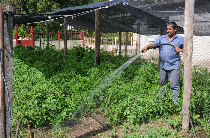 Agricultores camagüeyanos reafirmaron su compromiso
