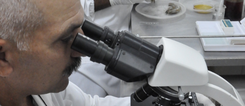 Inicia en Camagüey Jornada de la Ciencia Cubana 