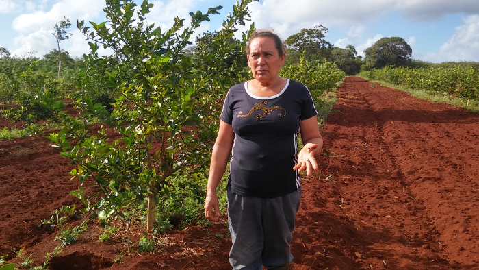 La mujer en el campo también tiene sus secretos, según Petronila, tratarlas con amor es uno de los trucos más efectivos.