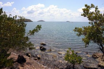 La educación socioambiental para el desarrollo local