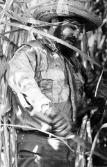 En 1966 nuestra zafra contó con el aporte de un machetero singular.