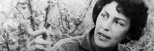 Celia Sánchez Manduley, eterna flor de Cuba