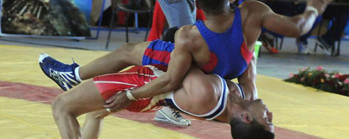 Nacional de Lucha: cosecha discreta en la Greco