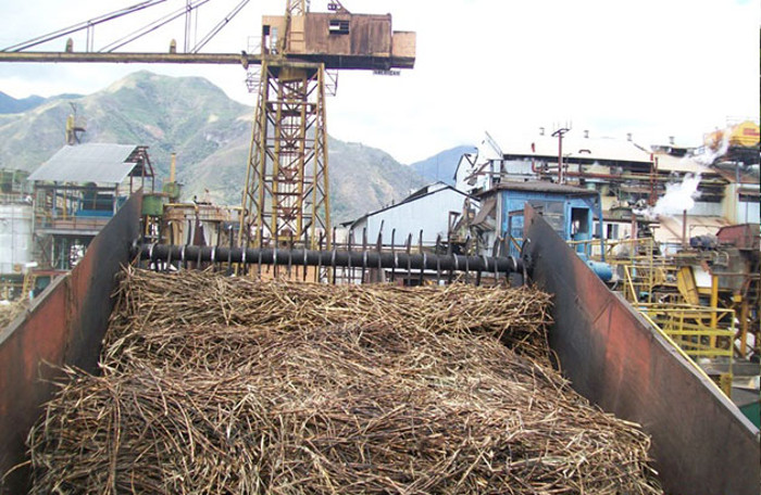 Sugar production decisive in Cuban province´s economy