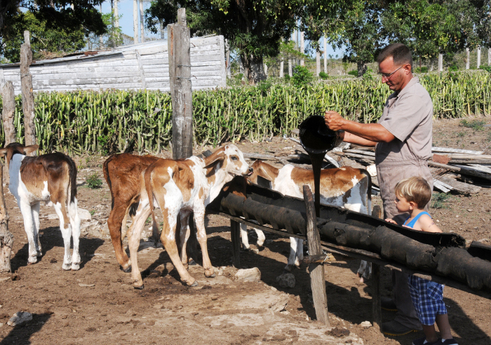 Guajiro, felizmente guajiro 