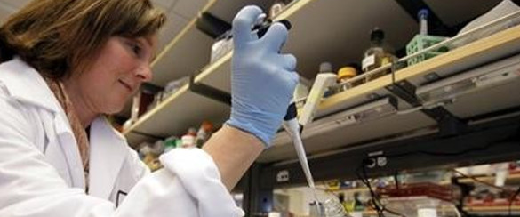 Cuban and US specialists to discuss use of stem cells