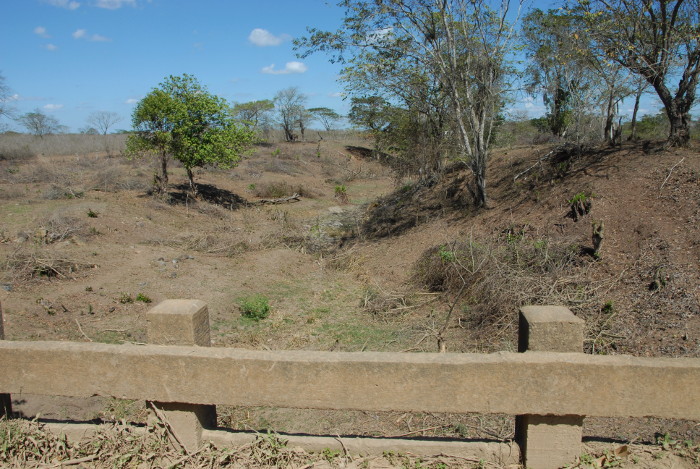 El 70 por ciento de las áreas de cultivo el suministro de agua es insuficiente y los municipios más afectados resultan Guáimaro, Vertientes, Florida y Santa Cruz del Sur, a la vez que se mantienen las condiciones de peligro extremo para la aparición y propagación de incendios en casi toda la provincia. Foto: Otilio Rivero Delgado/ Adelante