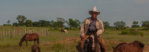 Día del Campesino (Fotos)