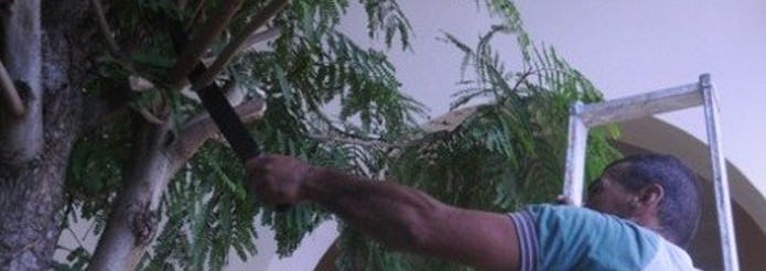 Cerró en Camagüey el Ejercicio Popular Meteoro 2017