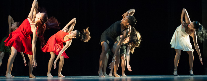 Ballet Contemporáneo Endedans y compañía Codanza(+Fotos)