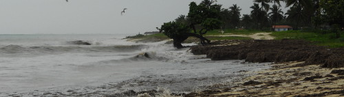 Comienza en Cuba la temporada ciclónica: atentos a pesar de pronósticos
