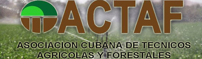 Premian obras del certamen Concienci@ Verde