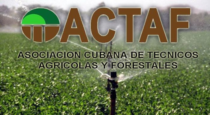 Foto: Tomada de www.radiococo.icrt.cu Premian obras del certamen Concienci@ Verde
