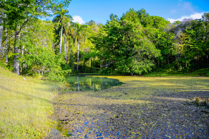 Gustavo Linares Parrado. 3er lugar Paisaje