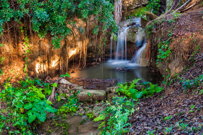 Rodolfo Riveron Saurín. 1er lugar Paisaje